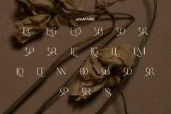 Arphine Dalton Font Product Image 8