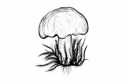 Mushroom SVG| Fall SVG |mushroom sublimation Product Image 1