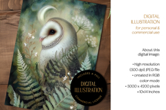 Barn Owl in Ferns Illustration Product Image 2
