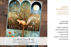 Divided Woodland Scenes Postcard Set Product Image 3