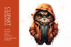 Watercolor Grumpy Owl Clipart Sublimation Product Image 1