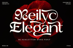 Reilyc Elegant - Blackletter Sans Font Product Image 1
