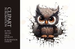 Watercolor Grumpy Owl Clipart Sublimation Product Image 1