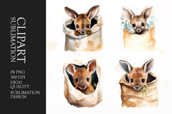 Watercolor kangaroo clipart sublimation png Product Image 1