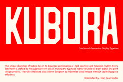 Kubora - Condensed Geometric Display Product Image 1