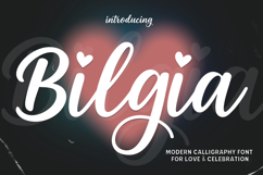 Bilgia Modern Calligraphy Font With Extra Product Image 1