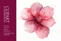 Watercolor pink Flower clipart sublimation Product Image 1