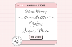 Whimsical Script Font Mini Bundle Product Image 1