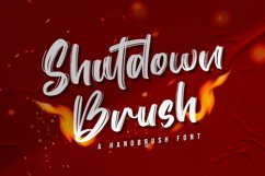 Shutdown Brush Product Image 1