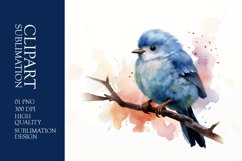 Cute baby birds watercolor clipart sublimation Product Image 1