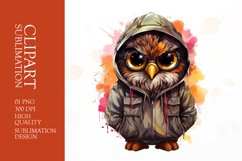 Watercolor Grumpy Owl Clipart Sublimation Product Image 1