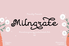 Milnarate Monoline Script Product Image 1