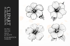 Black and white flower clipart sublimation png Product Image 1