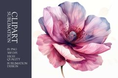 Watercolor Pink Flower Clipart Sublimation Product Image 1