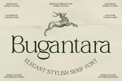 Bugantara - Elegant Thin Serif Font Product Image 1