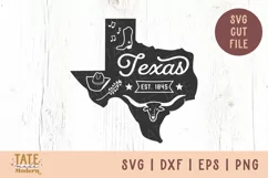 Vintage Texas SVG cut file - Texas state symbols svg Product Image 1