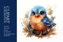 Cute baby bird watercolor clipart sublimation Product Image 1