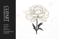 Black and white tulip flower Clip Art sublimation png Product Image 1
