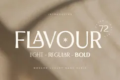 Flavour - Modern Luxury Sans Serif Product Image 1