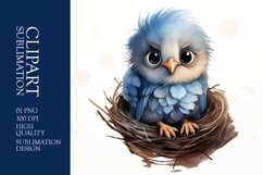 Cute baby bird watercolor clipart sublimation Product Image 1