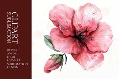 Watercolor pink Flower clipart sublimation Product Image 1
