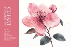 Watercolor Pink Flower Clipart Sublimation Product Image 1