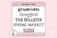 The Typewriter Font Mini Bundle Product Image 1