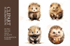Hedgehog clipart sublimation png Product Image 1
