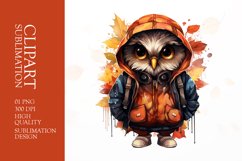 Watercolor Grumpy Owl Clipart Sublimation Product Image 1