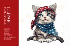 Patriotic cat 4th of July Watercolor clipart Product Image 1