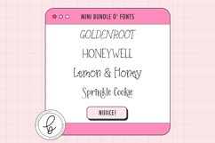 Serif Font Mini Bundle Product Image 1