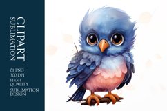 Watercolor Cute Bird Clipart Sublimation Product Image 1