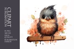Cute baby bird watercolor clipart sublimation Product Image 1