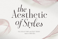Aesthetic Styles - Tall Serif Product Image 1