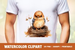 Cute baby bird watercolor clipart sublimation Product Image 2