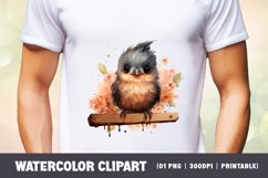 Cute baby bird watercolor clipart sublimation Product Image 2