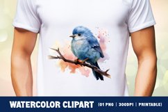 Cute baby birds watercolor clipart sublimation Product Image 2