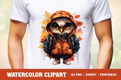 Watercolor Grumpy Owl Clipart Sublimation Product Image 2