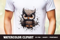 Watercolor Grumpy Owl Clipart Sublimation Product Image 2