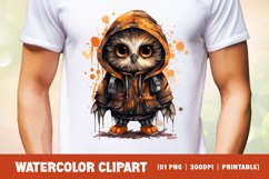 Watercolor Grumpy Owl Clipart Sublimation Product Image 2