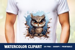 Watercolor Grumpy Owl Clipart Sublimation Product Image 2