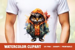 Watercolor Grumpy Owl Clipart Sublimation Product Image 2