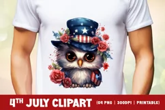 Patriotic owl 4th of July watercolor clipart Product Image 2