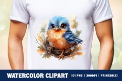 Cute baby bird watercolor clipart sublimation Product Image 2