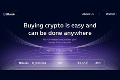 Blumir font family Product Image 5