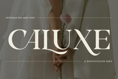 Caluxe Modern Luxury Serif Logo Font Product Image 2