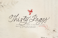 Thirty Pages - Handwritten Script Product Image 1