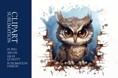 Watercolor Grumpy Owl Clipart Sublimation Product Image 1