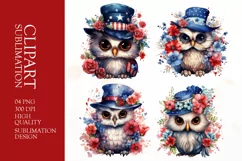 Patriotic owl 4th of July watercolor clipart Product Image 1