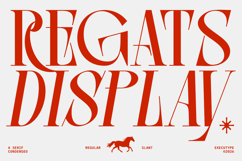 Regats Display Product Image 1